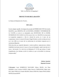 Comunicado en respuesta al vergonzoso Proyecto de Declaración de algunes diputades y una senadora de la Nación.